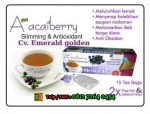 Jual Teh Pelangsing Tubuh Acaiberry Slimming Tea Herbal Asli