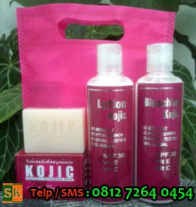 Belanja Kosmetik Online
