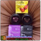 Jual Pemutih Kulit Wajah Cream Anisa Premium Asli Original ber BPOM