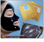 Shiseido Naturgo Mud Mask