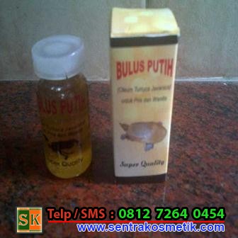 Minyak Bulus