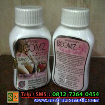 SECRET BOOMZ